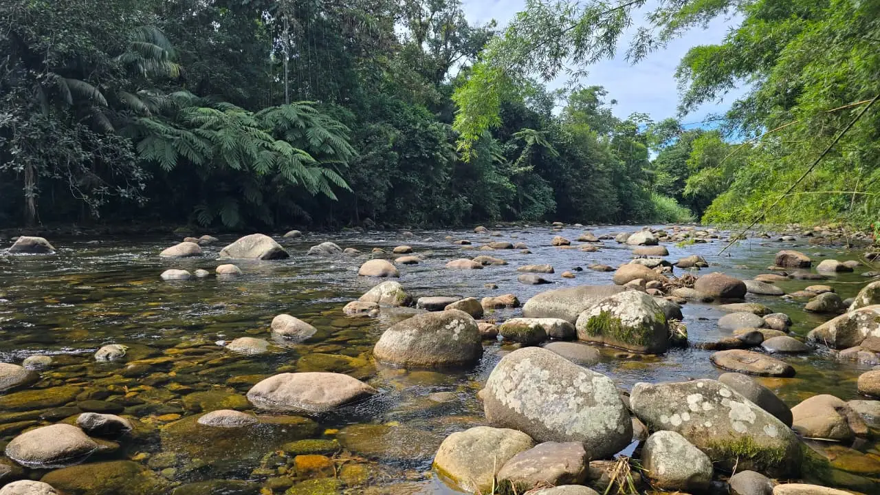 Rio Nhundiaquara em Morretes PR