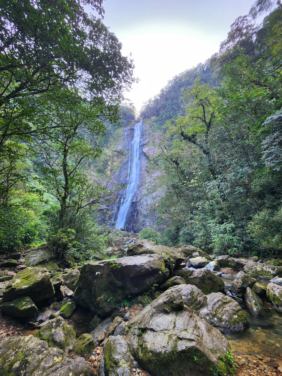 Cachoeira Salto Morato em meio à Mata Atlântica